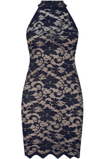 Navy & Nude Floral Lace Mini Bodycon Dress