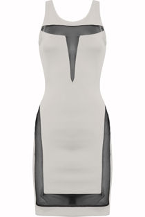 White Net Panel Detail Bodycon Dress