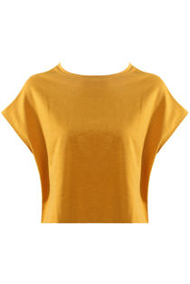 Mustard Cropped Cap Sleeves Blouse