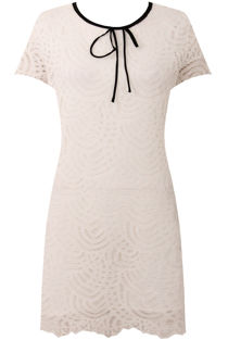 White Tie Neck Scalloped lace Shift Dress