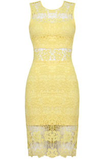 Yellow Floral Lace Lined Back Zip Up Fitted Dress