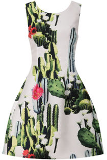Green & Cream Cactus Print Organza Flare Dress 