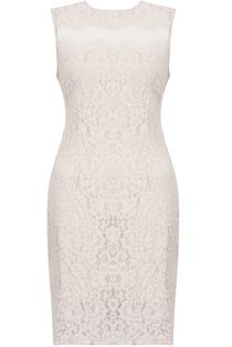 Beige Floral Lace & Mesh Sleeveless Fitted Pencil Dress