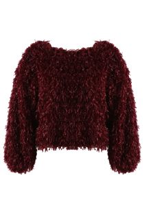 Wine Feather Look Round Neck Top