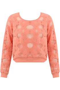 Rose Floral Netted Textured Long Sleeve Tops