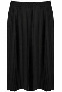Black Elasticated Waist Pleated Flare Skirt