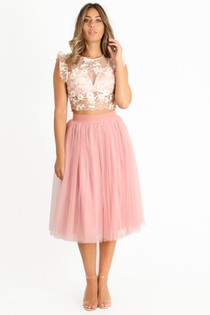 l/491/Midi_Tulle_Skirt_In_Pink-3__84209.jpg