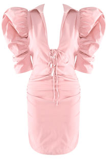 Rose Puffed Sleeves Plunge Neck Dress