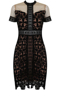 Floral Contrast Lace Textured Bodycon Dress