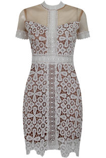Floral Contrast Lace Textured Bodycon Dress