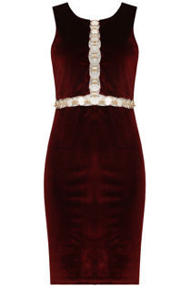 Wine Velvet Front Ring Trimming Bodycon Dress