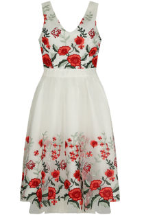 Red Floral Embroidery Back Zip Up Shift Dress