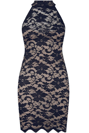 Navy & Nude Floral Lace Mini Bodycon Dress