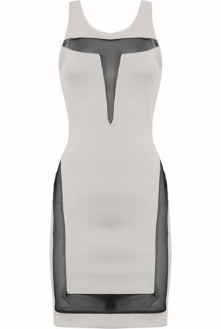 White Net Panel Detail Bodycon Dress