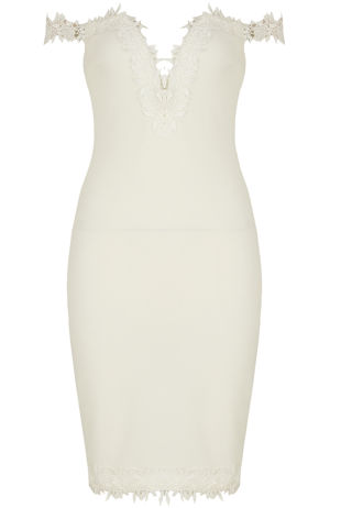 Floral Embroidery Bodycon Dress