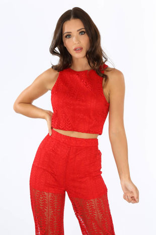 Red High Neck Lace Crop Top