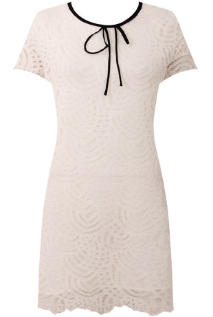 White Tie Neck Scalloped lace Shift Dress