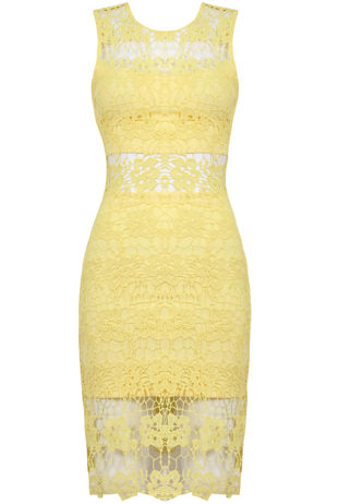 Yellow Floral Lace Lined Back Zip Up Fitted Dress