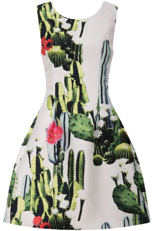 Green & Cream Cactus Print Organza Flare Dress 