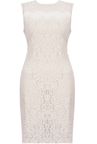 Beige Floral Lace & Mesh Sleeveless Fitted Pencil Dress