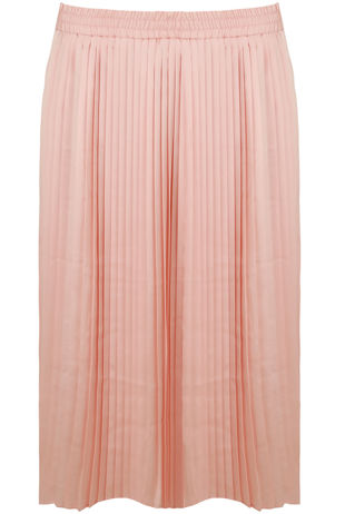 Rose Elasticated Waist Pleated Flare Skirt