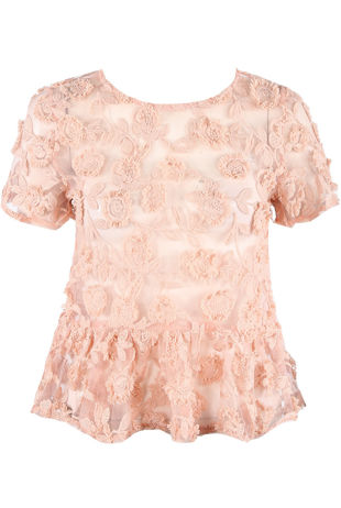 Rose Embroidered Lace Mesh Tops