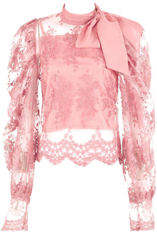 Rose Lace Mesh Knot Collar Blouse