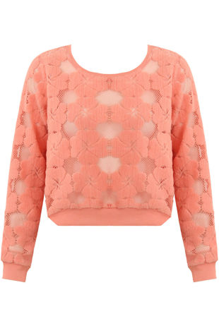 Rose Floral Netted Textured Long Sleeve Tops