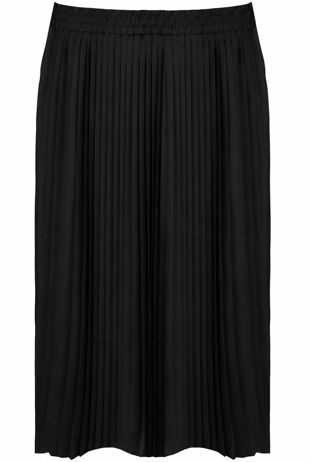 Black Elasticated Waist Pleated Flare Skirt