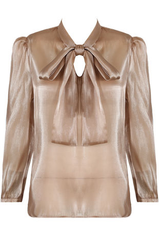 Camel Front Tie Up Mesh Blouse