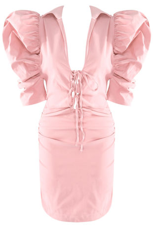 Rose Puffed Sleeves Plunge Neck Dress