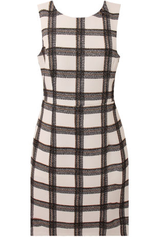 Cream Check Print Day Dress 