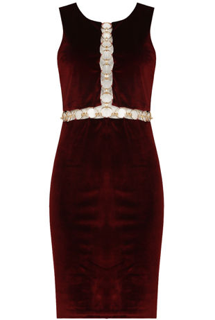 Wine Velvet Front Ring Trimming Bodycon Dress
