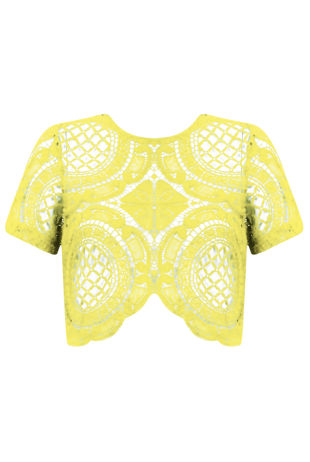 Yellow Short Sleeve Crochet Crop Top