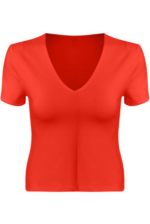 Red Deep Neck Crop Tops