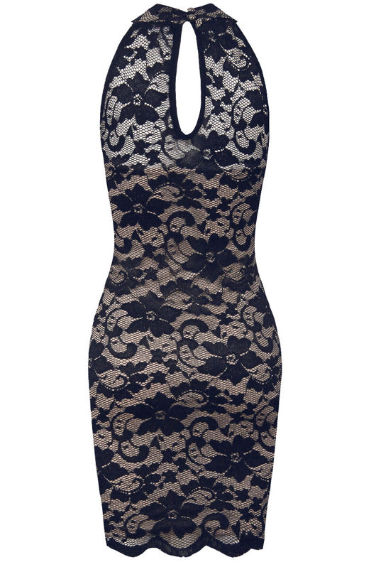 Navy & Nude Floral Lace Mini Bodycon Dress