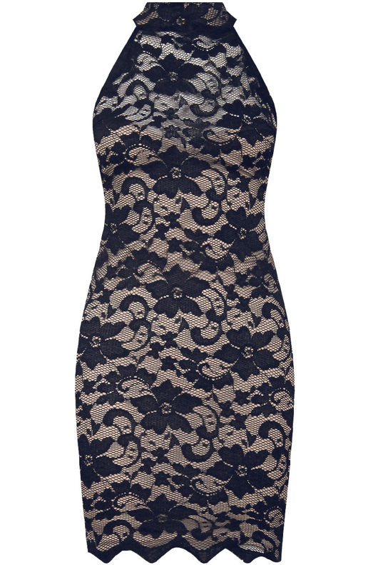 Navy & Nude Floral Lace Mini Bodycon Dress