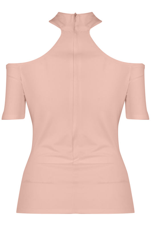Choker Neck Cut Out Top in Rose 