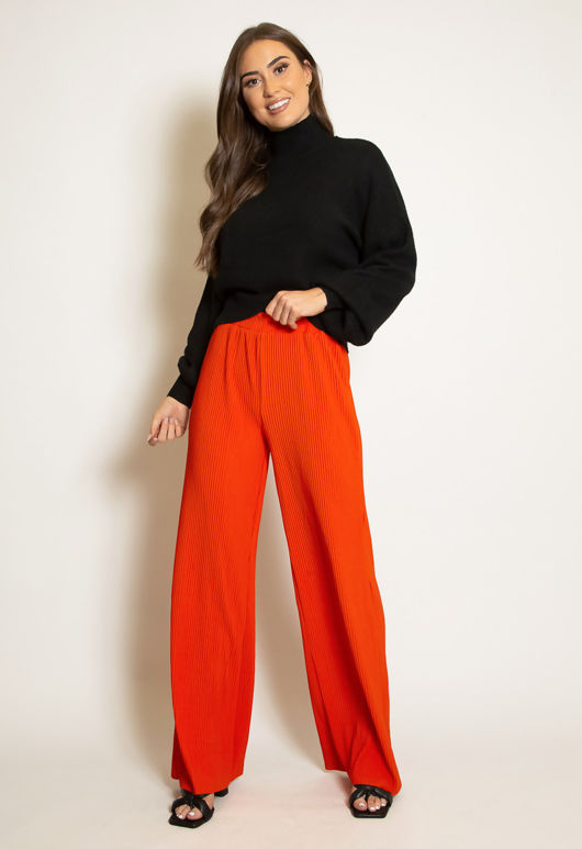 Orange  Pleated Wide Leg Trouser-Copy-Copy