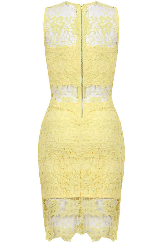 Yellow Floral Lace Lined Back Zip Up Fitted Dress