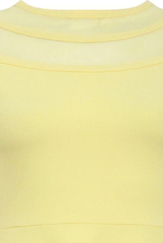 Yellow Block Colour Netted Side Zip Up Flared Dress