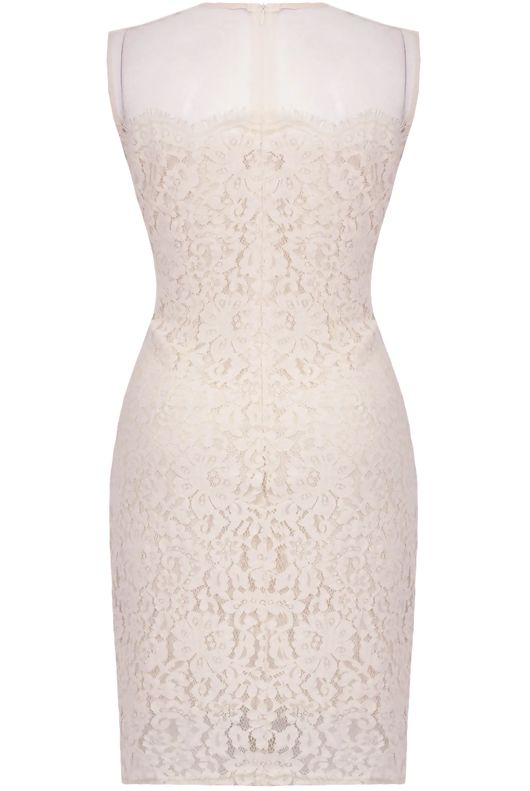 Beige Floral Lace & Mesh Sleeveless Fitted Pencil Dress