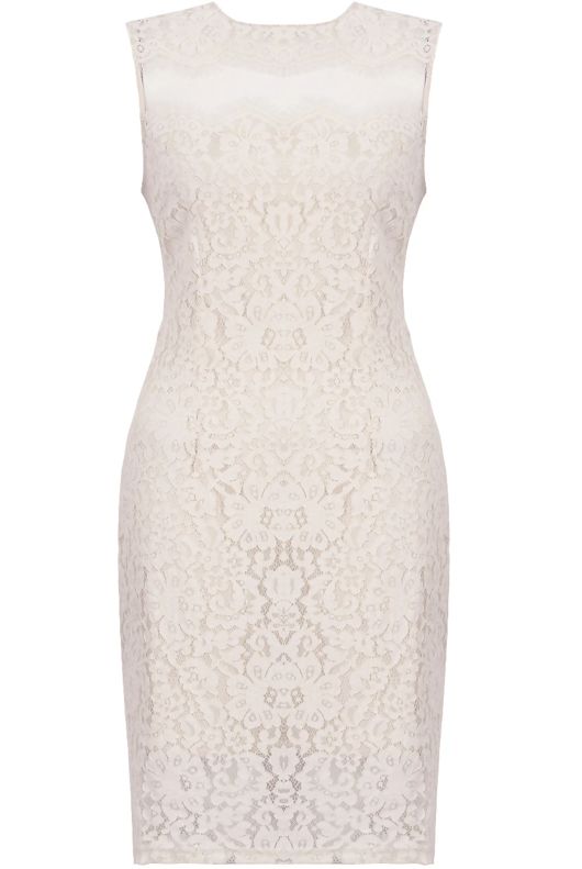 Beige Floral Lace & Mesh Sleeveless Fitted Pencil Dress
