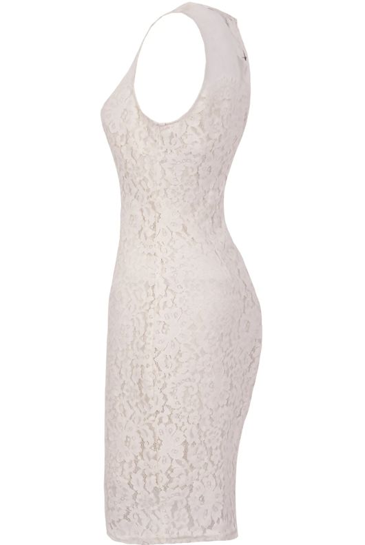 Beige Floral Lace & Mesh Sleeveless Fitted Pencil Dress