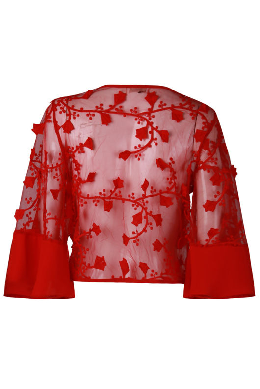 Red Lace Sheer Mesh Overlay Croptop