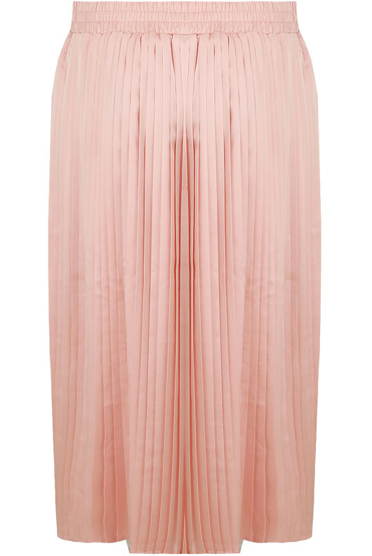 Rose Elasticated Waist Pleated Flare Skirt
