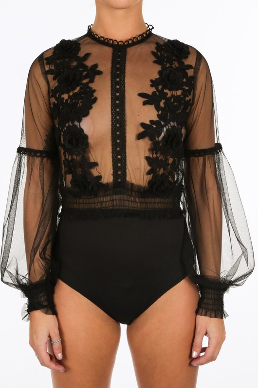 i/302/21926-_Black_Long_Sleeve_Sheer_Applique_Bodysuit7__23823.jpg
