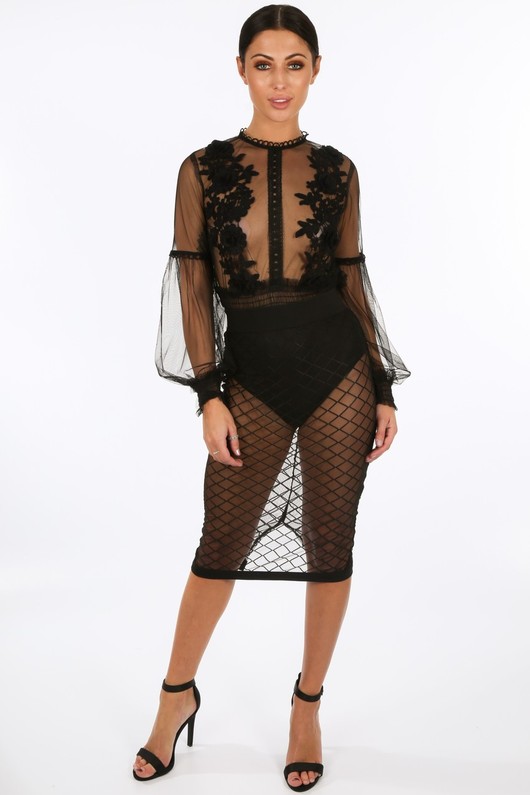 h/172/21926-_Black_Long_Sleeve_Sheer_Applique_Bodysuit8__14735.jpg
