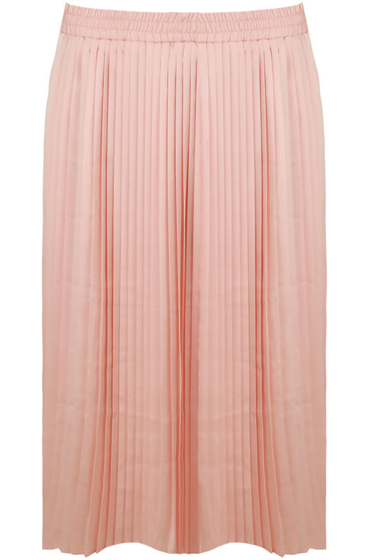 Rose Elasticated Waist Pleated Flare Skirt