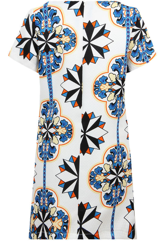 Cream & Blue Flower Print Back Zip Up Shift Dress